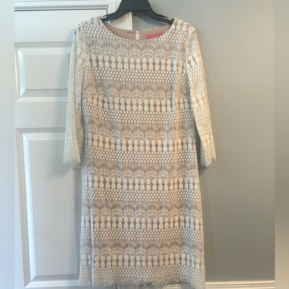 Off white colored dress. Beautiful lace over nude lining
